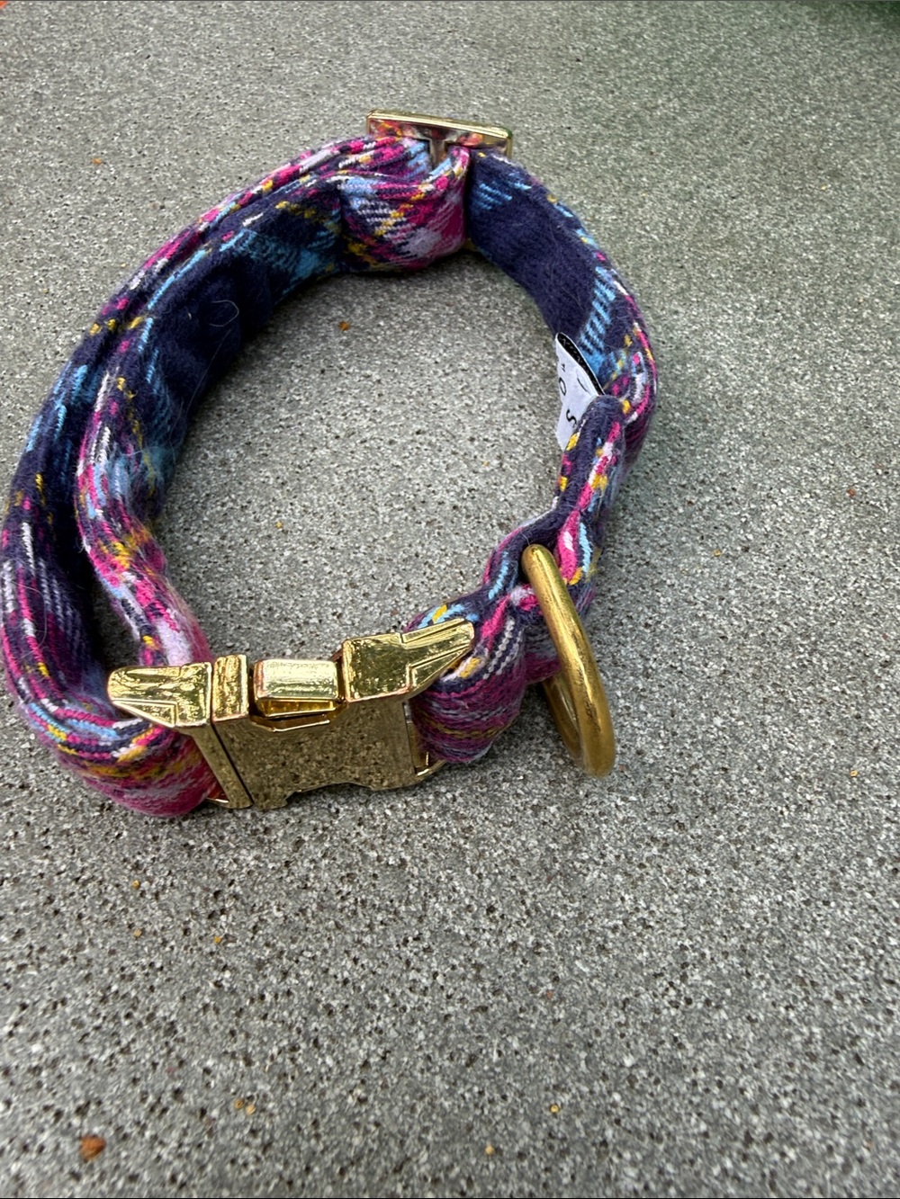 LIMITED EDITION THE FOGGY DOG SIZE SMALL PET COLLAR